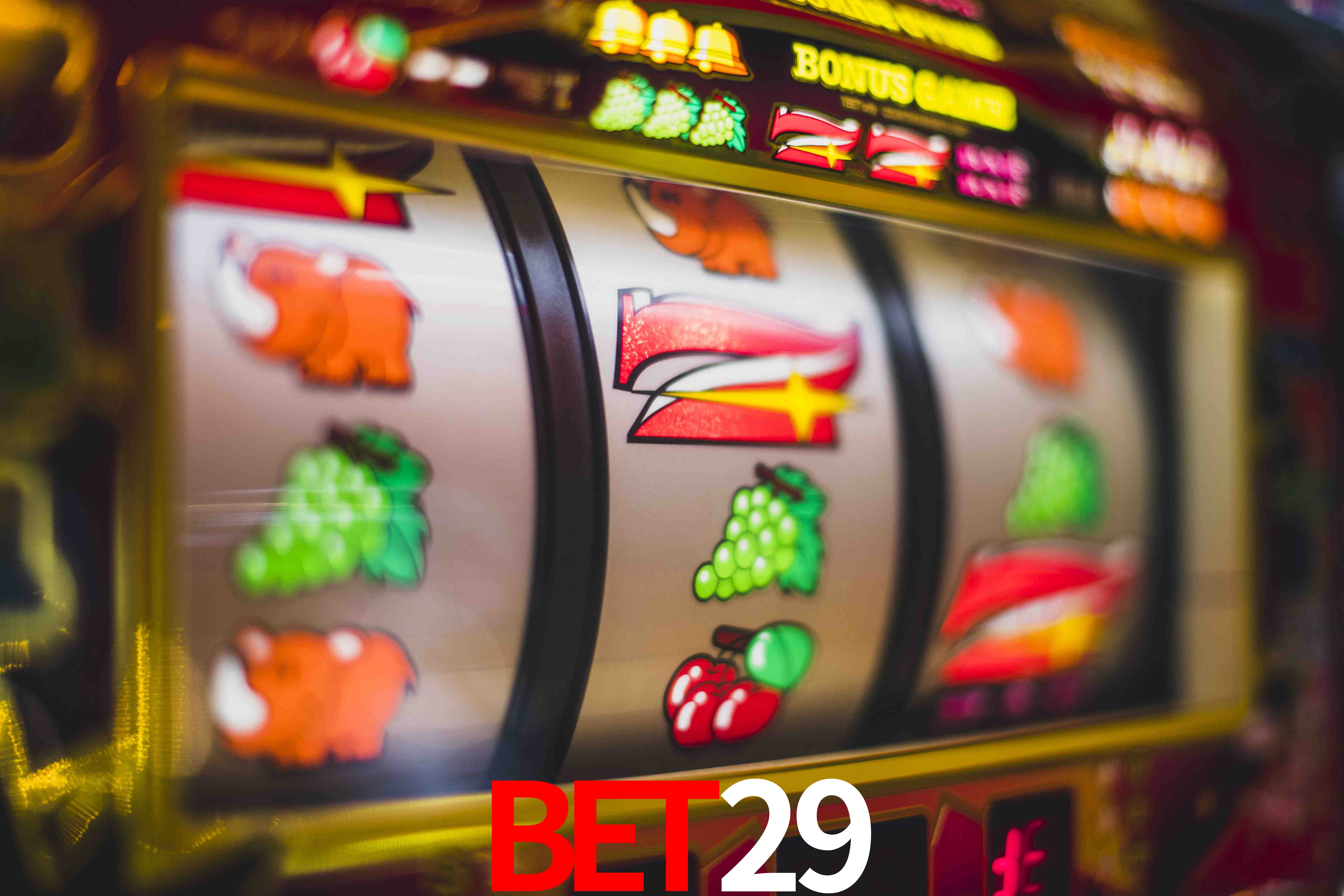 Sports Statistics bet29